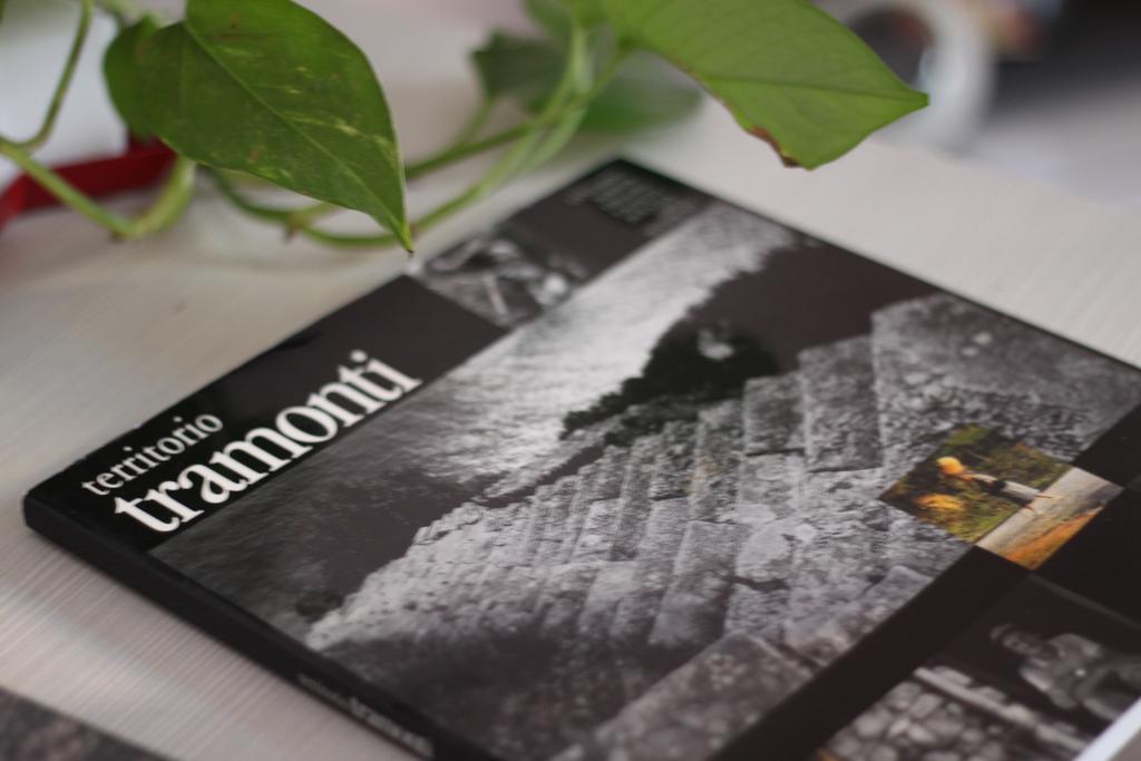 Cernaia 42 Bed & Breakfast